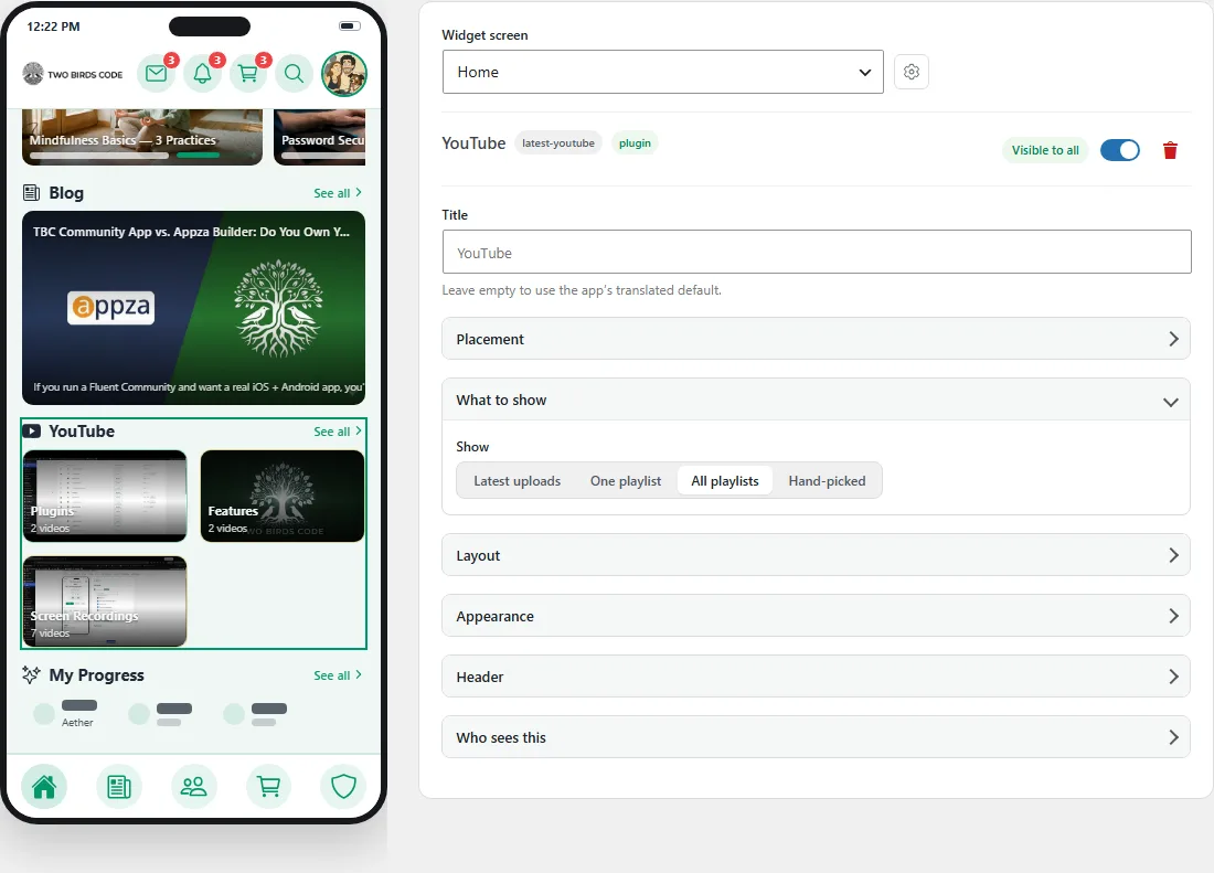 the Customizer, with the widget settings beside a live phone preview