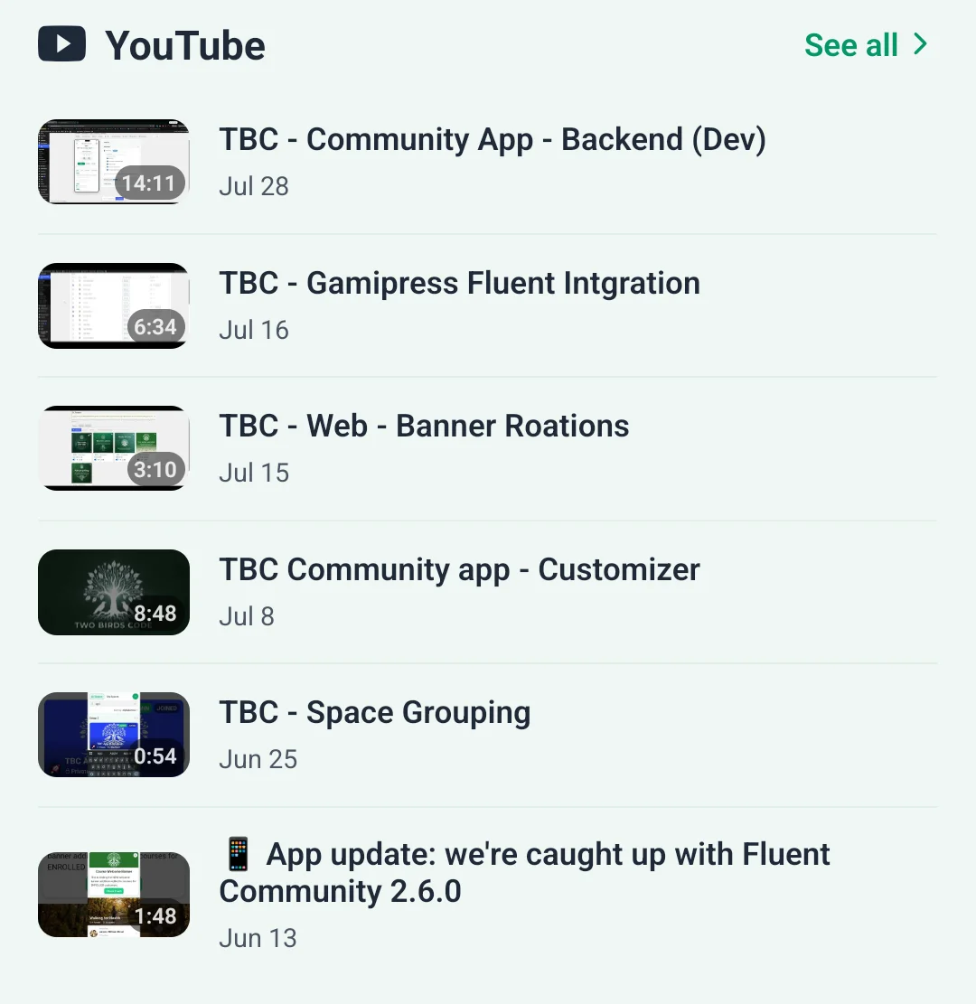 the YouTube widget drawn as a compact list