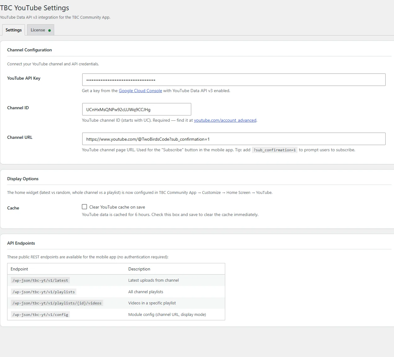 the YouTube settings page in WordPress