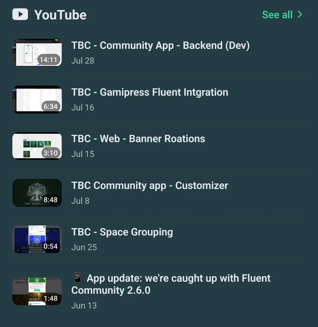 the YouTube widget drawn as a compact list