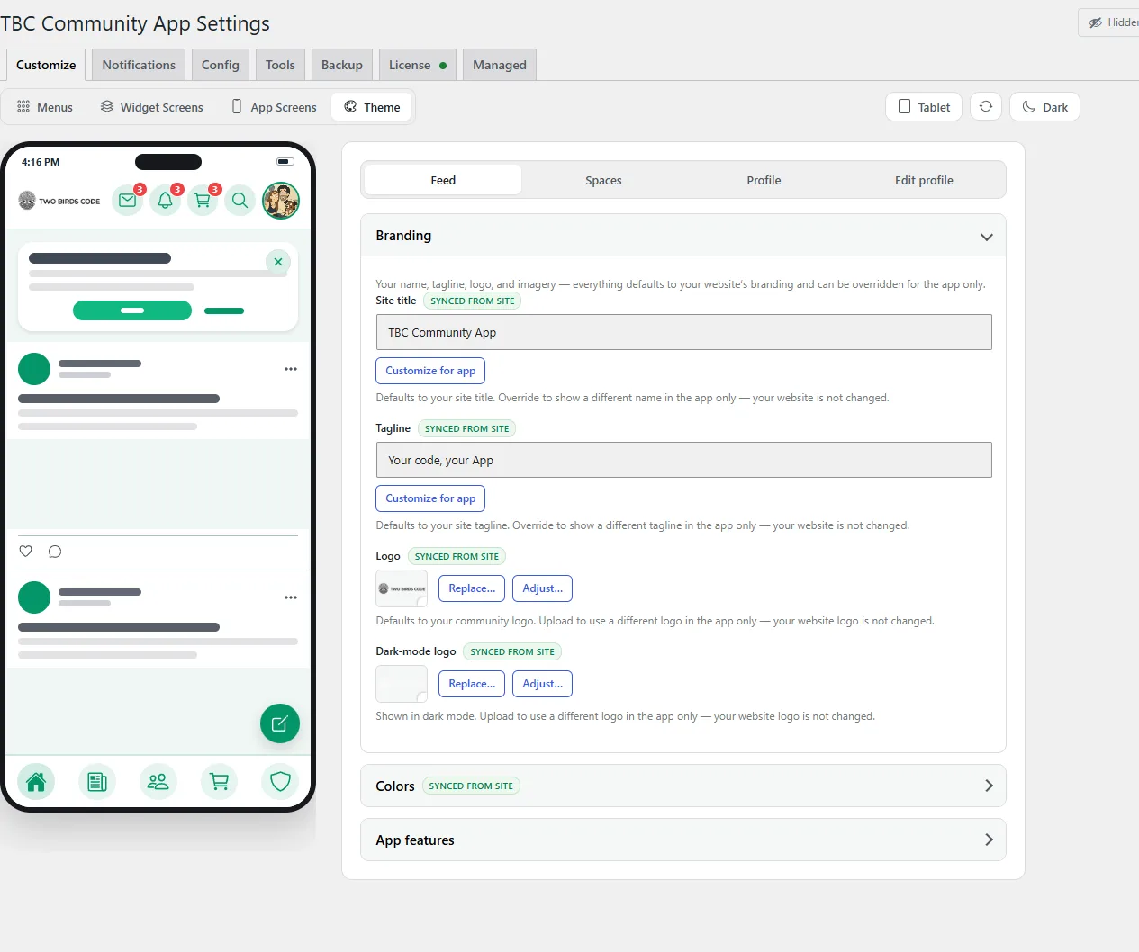 The Theme sub-tab, with the colour fields and preset row beside the live phone preview