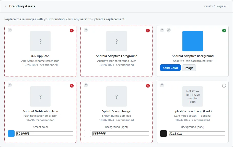The Branding Assets card, with each icon and splash image and the size it requires