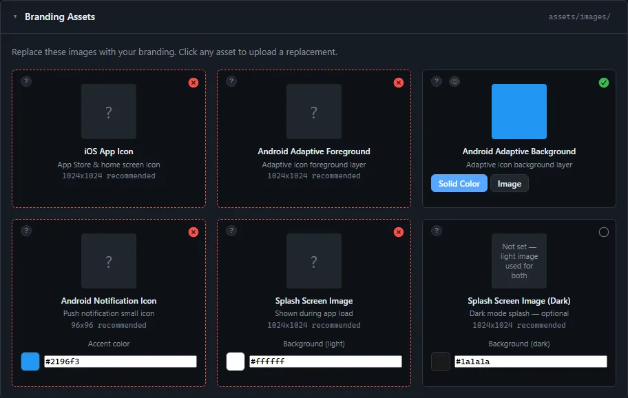 The Branding Assets card, with each icon and splash image and the size it requires