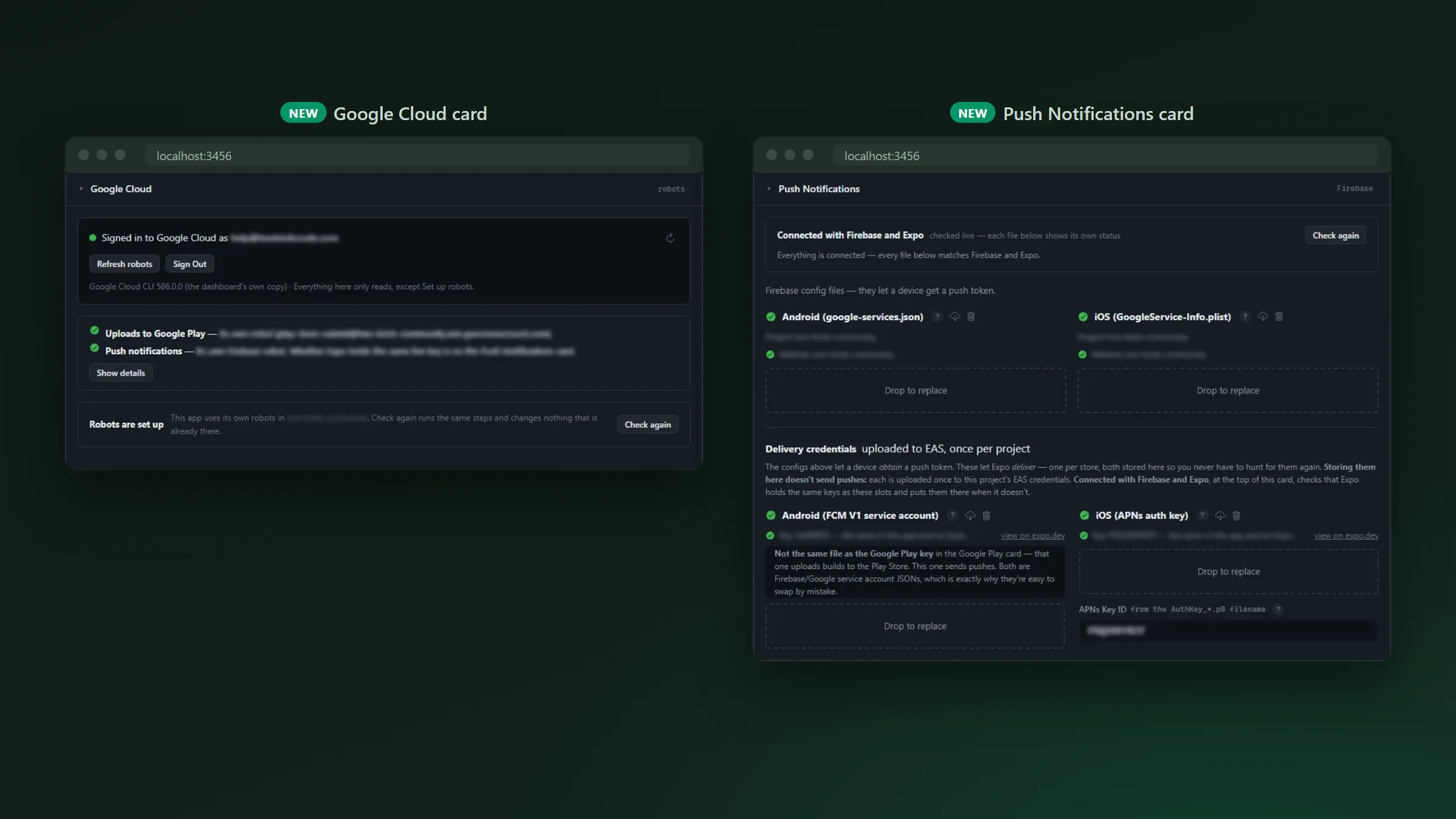 The setup dashboard’s Google Cloud card showing the app’s robots set up, beside the Push Notifications card with every file checked