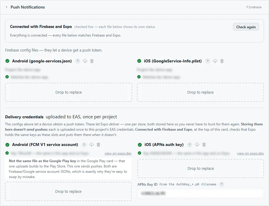 The Push Notifications card, every file checked live against Firebase and the build service