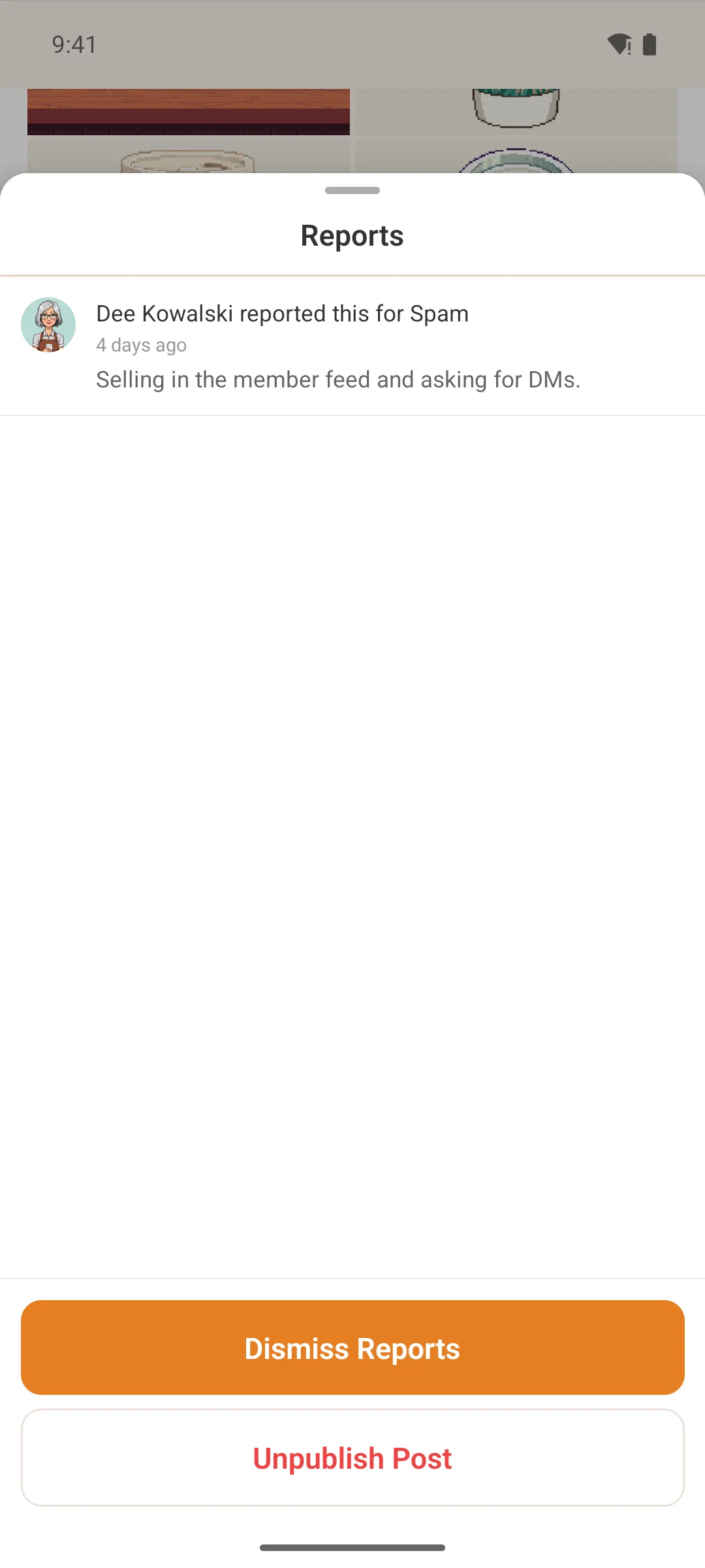 Reviewing a flagged post