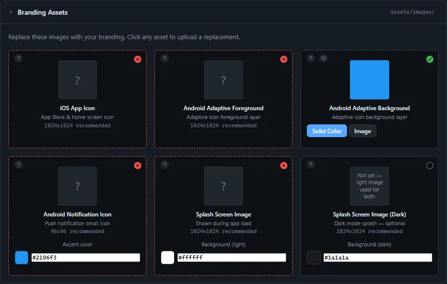 The Branding Assets card, with each icon and splash image and the size it requires