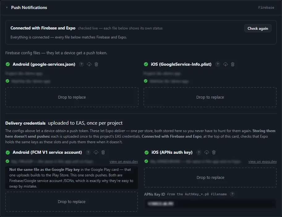 The Push Notifications card, every file checked live against Firebase and the build service