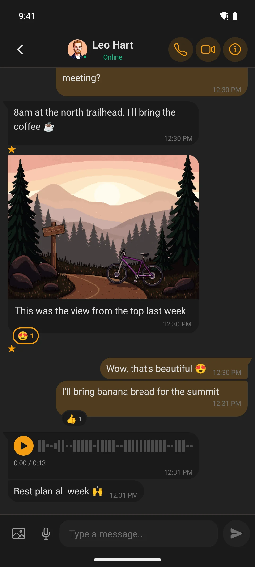 A Better Messages conversation in the Modern look, with a photo, reactions and a voice message