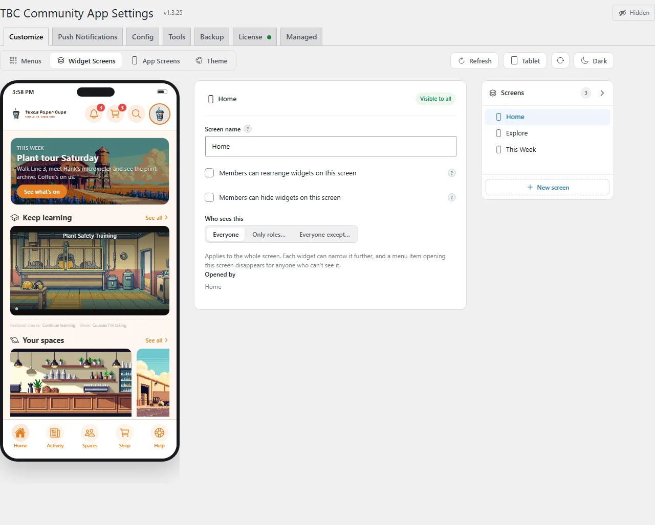 The Widget Screens sub-tab: a screen's widget list, its name and visibility rule, beside the live phone preview