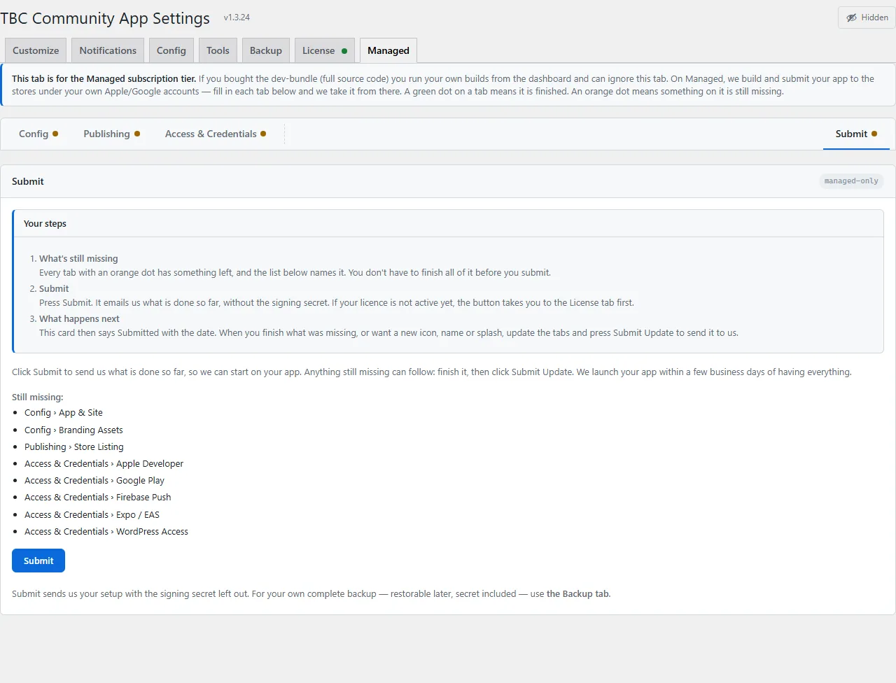 The Managed App Setup panel in WordPress, ready to submit