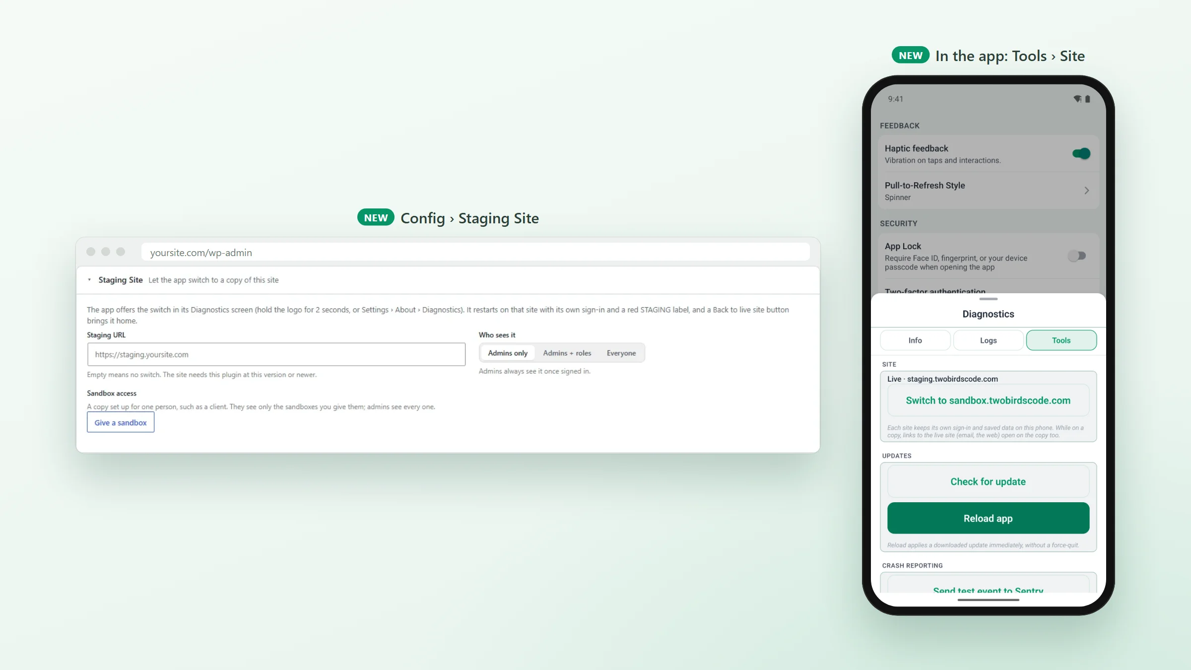 The Staging Site card in WP Admin, with the staging address, who sees it and Sandbox access, beside the app&rsquo;s Diagnostics Tools tab on the live site with a Switch to button