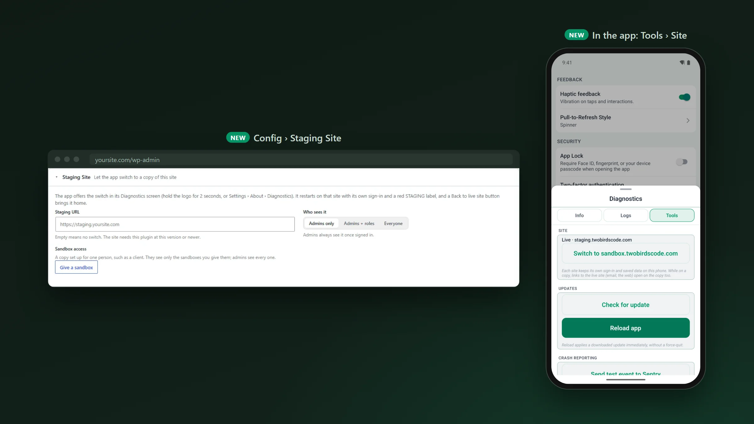 The Staging Site card in WP Admin, with the staging address, who sees it and Sandbox access, beside the app&rsquo;s Diagnostics Tools tab on the live site with a Switch to button