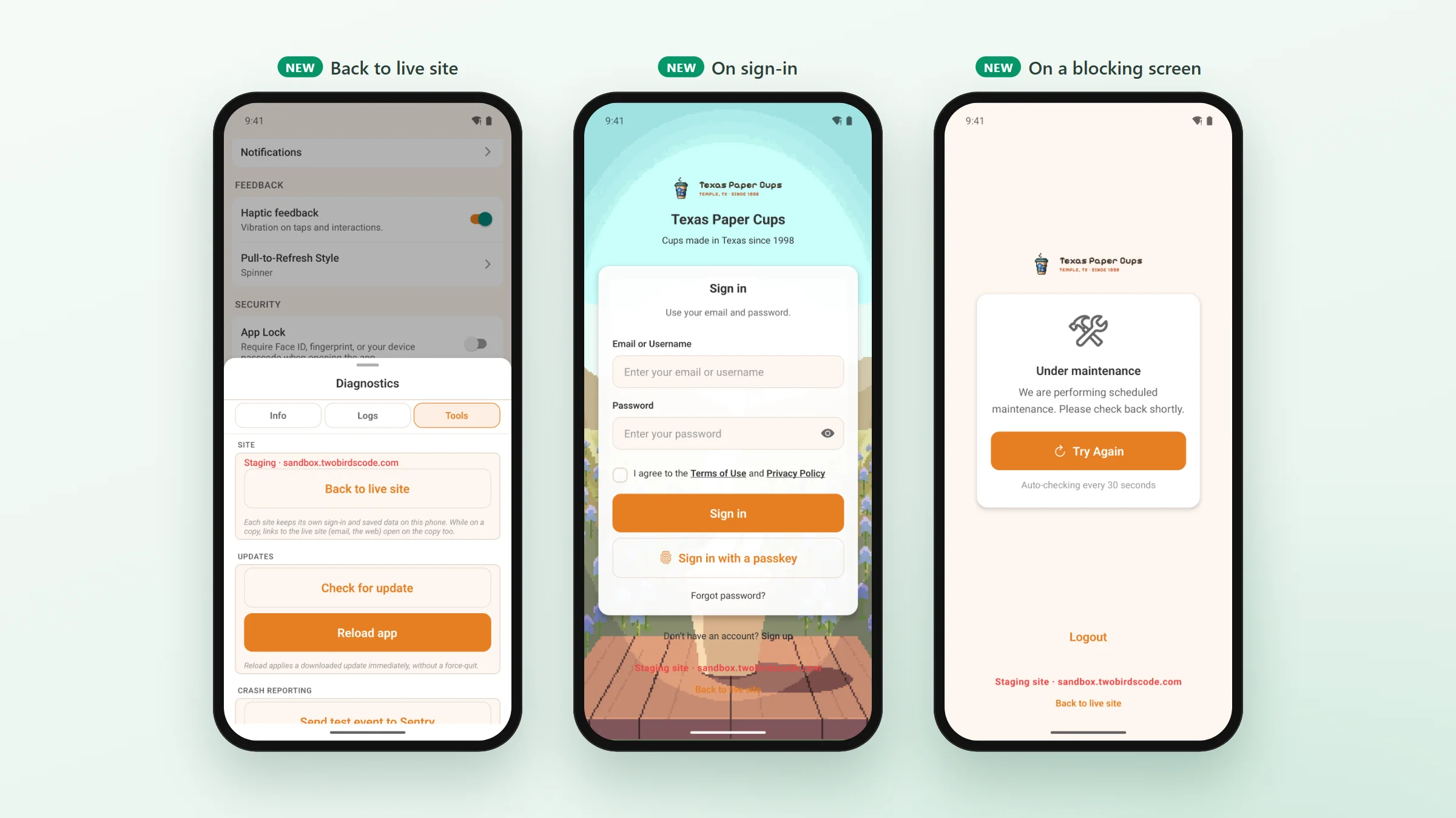Three screens on a sandbox: the Tools tab with a Back to live site button, the sign-in screen and the maintenance screen, each with the staging address and a Back to live site link