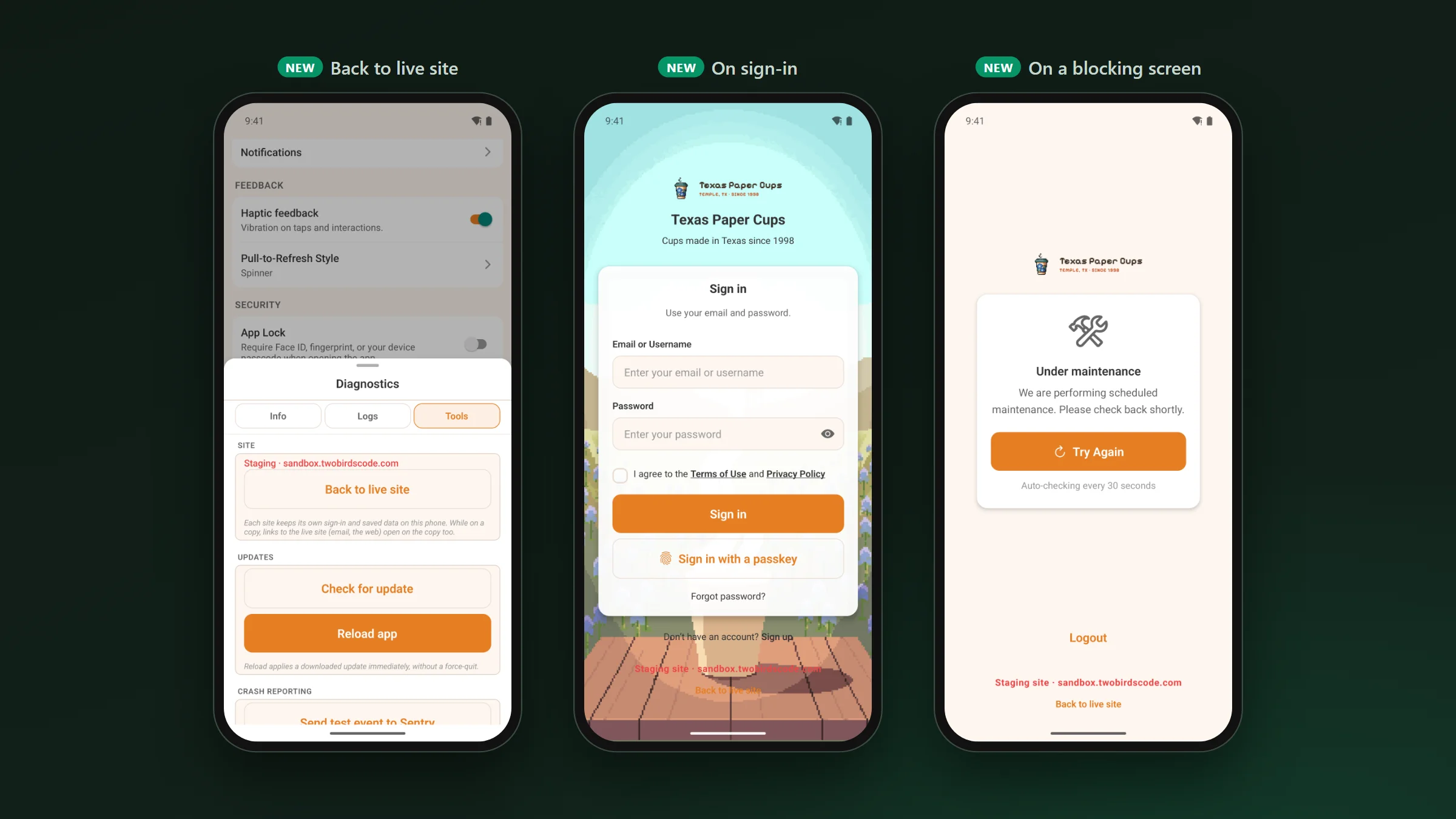 Three screens on a sandbox: the Tools tab with a Back to live site button, the sign-in screen and the maintenance screen, each with the staging address and a Back to live site link