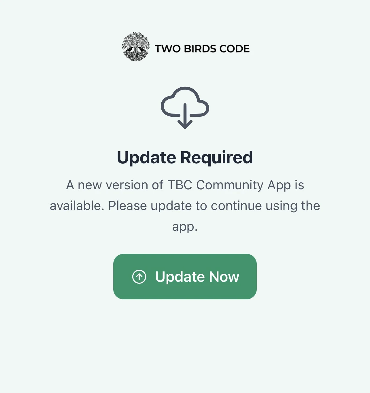 iOS update issue