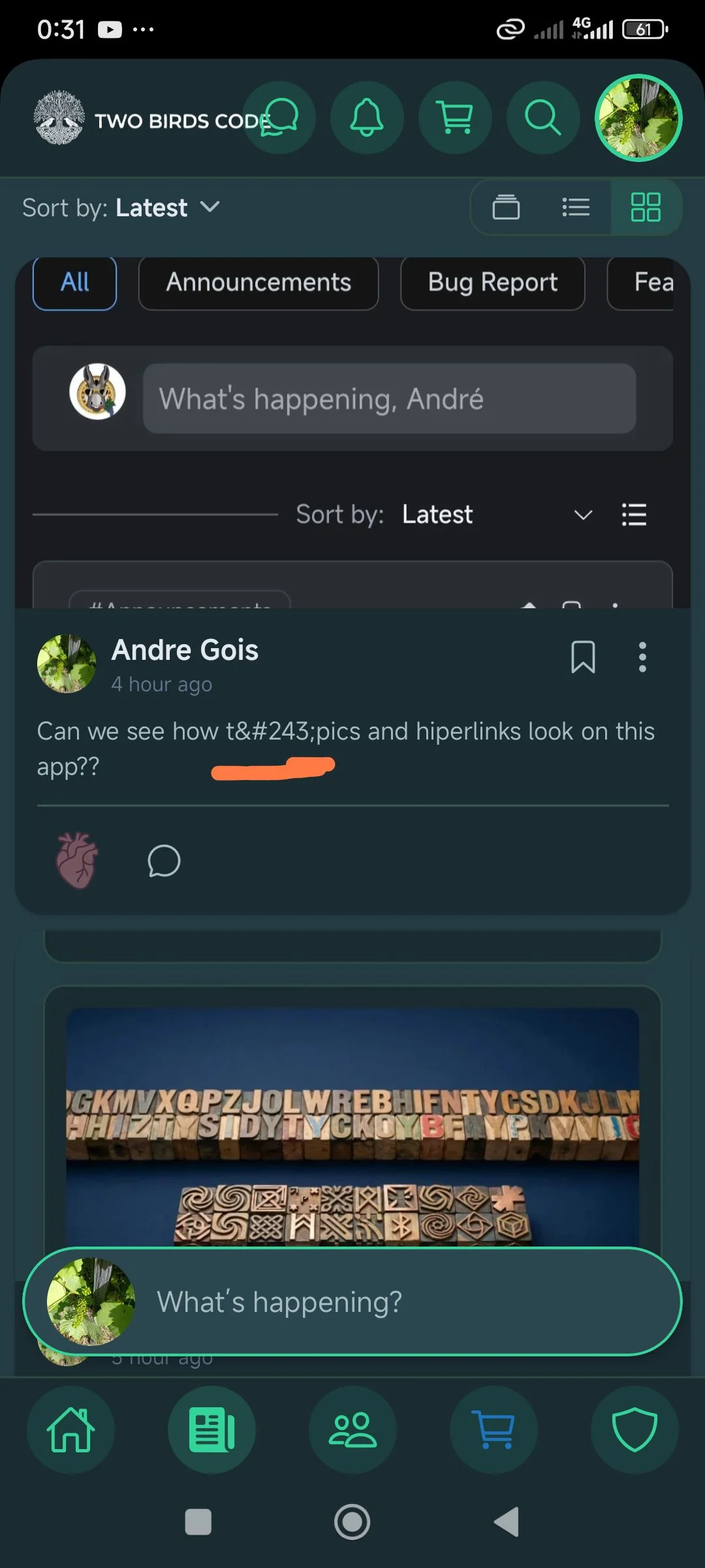 Bug found