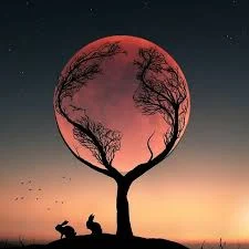Not all who wander are lost
