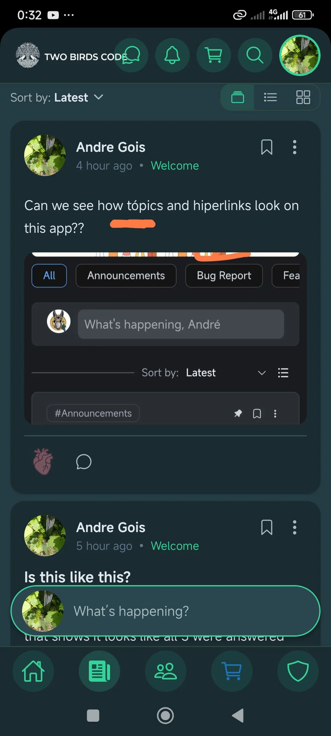 Bug found