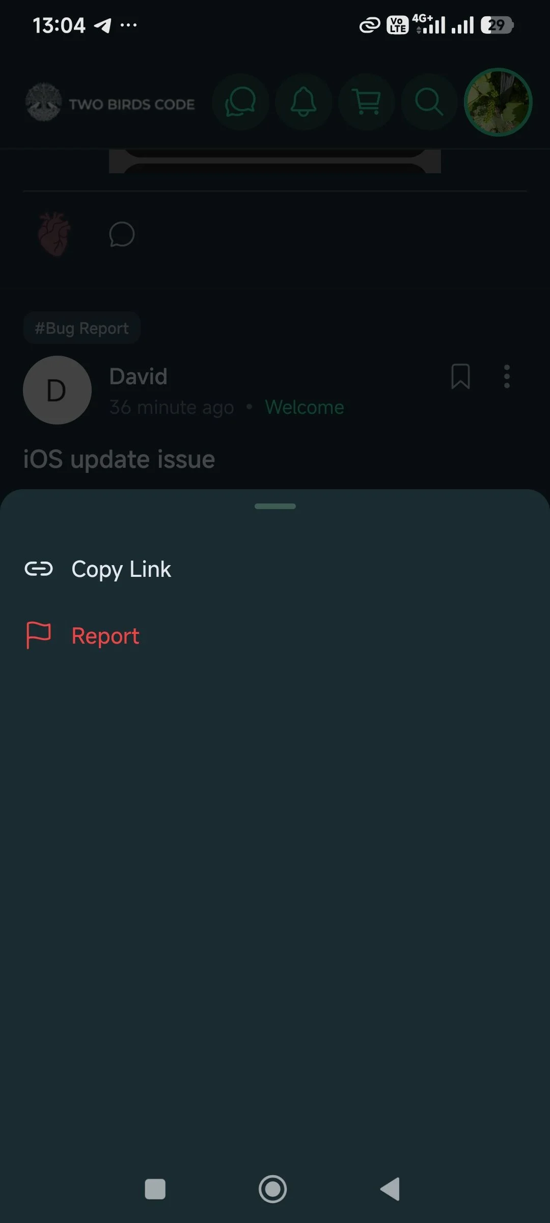 Report